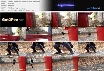 Got2Pee   02.01.2026 - 13.03.2026/ScreenLists/Got2pee - Brunette babe pisses in the middle of a road.mp4.jpg