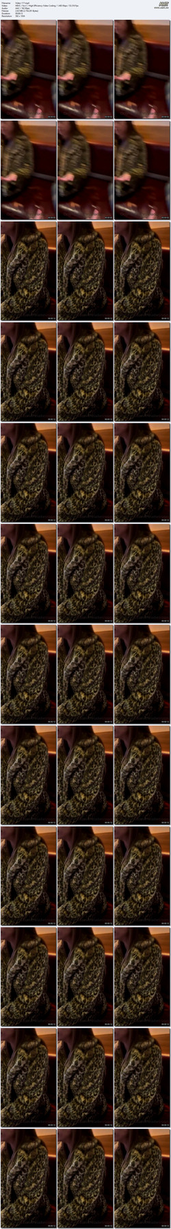 theladiesroompack/Screen/Video-117.mp4.jpg