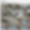 BeachHunters_18313-18418/Screens