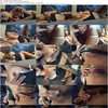 vanessaw Megapack thumbnail