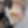 Mikomin Photosets Pack/Maid Service
