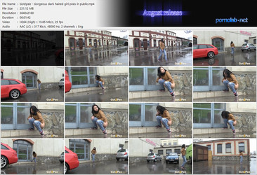 Got2Pee   02.01.2026 - 13.03.2026/ScreenLists/Got2pee - Gorgeous dark haired girl pees in public.mp4.jpg