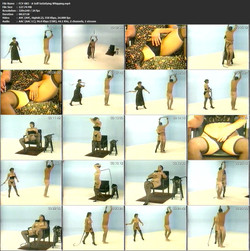 Nuwest mega pack 2/scr/FCV-083 - A Self Satisfying Whipping.jpg