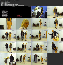 Nuwest mega pack 2/scr/DFFS-010 - Ingrid Model Sales Department.jpg