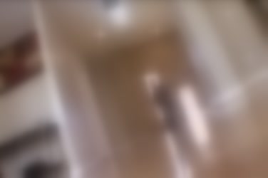 362221.mp4