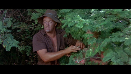 The.Gods.Must.Be.Crazy.1980.1080p.WEB.h264-NOMA/The.Gods.Must.Be.Crazy.1980.1080p.WEB.h264-NOMA.mkv