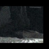 SW 2015 ( 1) thumbnail