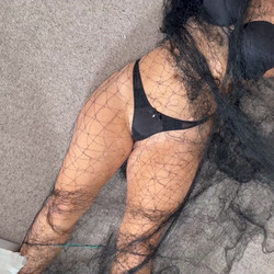 tatti_caught_in_a_net_bdg.mp4
