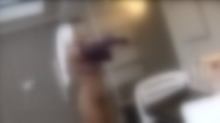 103441.mp4