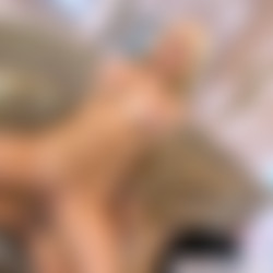 My.Wifes.Hot.Friend.Remastered.11.24.17.Kagney.Linn.Karter.1080p/mwhfkagneylinnkarterrem_1080hq.mp4