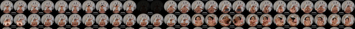 SLR_SLR_Originals_64462_SLR_704_fisheye190_AV1.mp4 screencaps